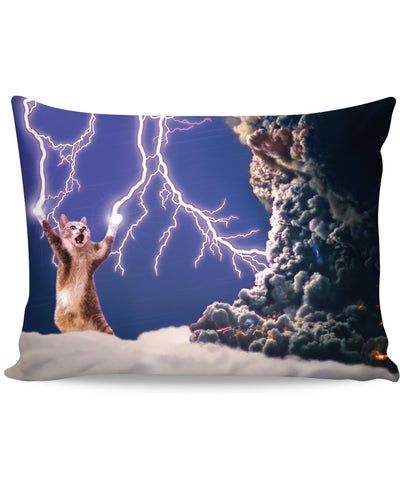 Thundercat Pillow Case